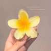 Pinteresty Flower Claw Clutchers (Random Color)