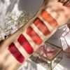 Pudaier 5 Pure Color Liquid Matte Lipstick Set