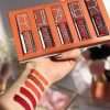 Pudaier 5 Pure Color Liquid Matte Lipstick Set
