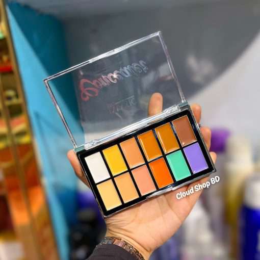 IMAGIC 12 Color Concealer Palette